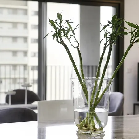 Sunsets And The Pool In Barcelona Apartment Cornella de Llobregat